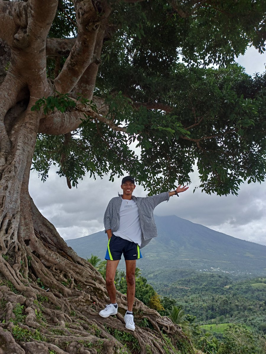 isthatpavz's tweet photo. #centurytree https://t.co/k3OruefQD8
