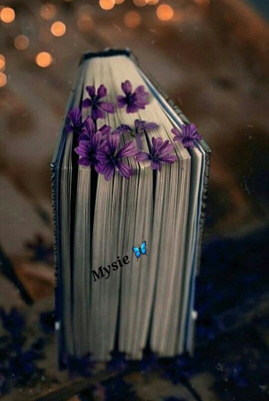 Mysie60732193's tweet photo. 🦋✨ https://t.co/peyUQG8XMm