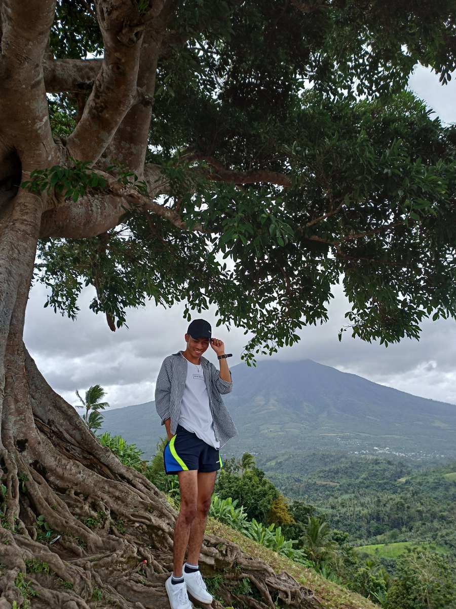 isthatpavz's tweet photo. #centurytree https://t.co/k3OruefQD8