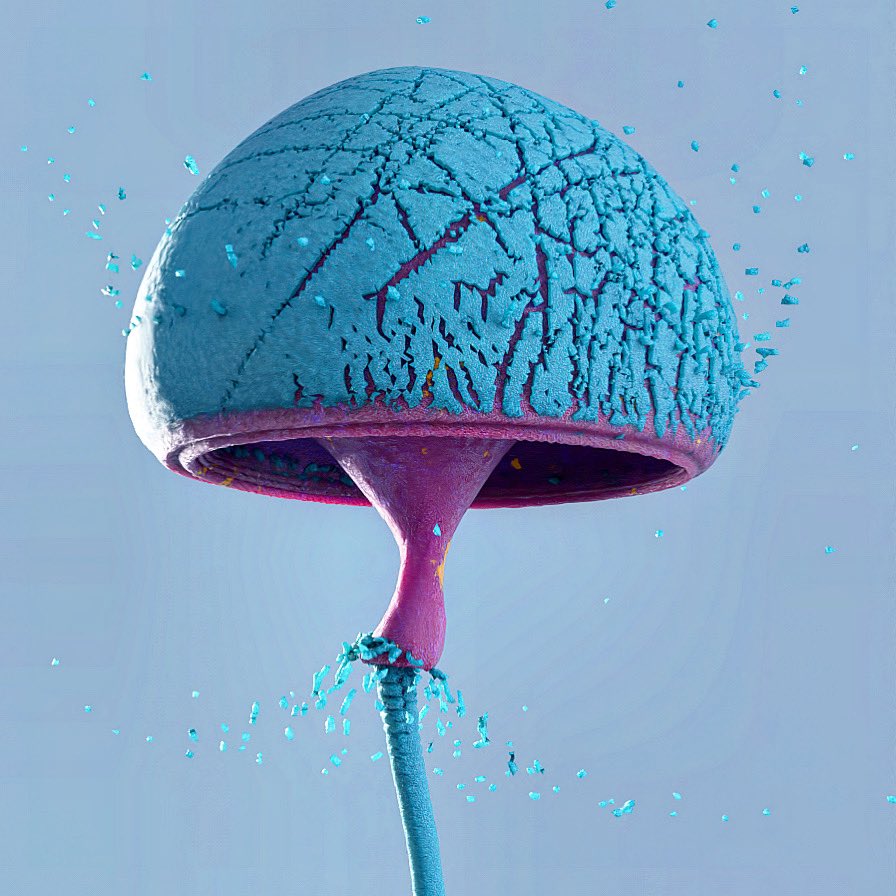 mucha_art's tweet photo. One of 120 frames, #animation #rendering  #vfx #art #C4D #cinema4d #3D #digitalart #artist #artwork #digital https://t.co/lvHjGvOkOL