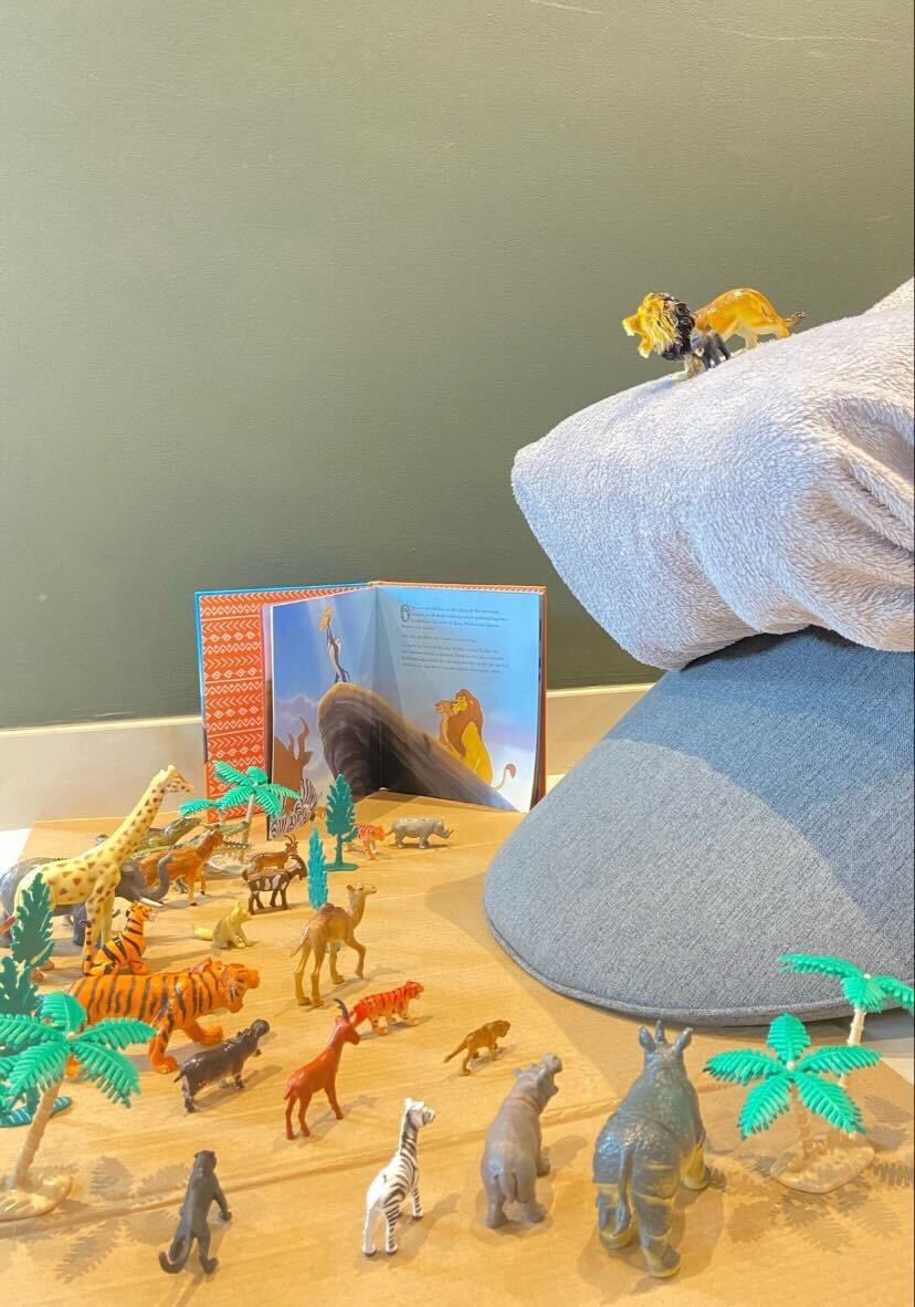 Thank you to Emily from Year 1 Violet for this imaginative first entry to our World Book Day house competition! 🦁 
#vhps #wearevhps #vhpsthelittlethings #smallschoolbigheart