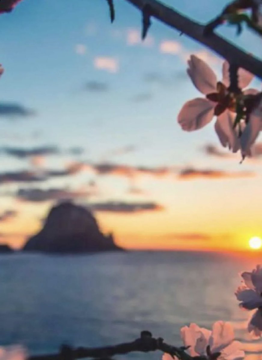 ،٠
،٠
،٠
،٠
،٠

لأرواحكم الجميله :أسعدالله أيامكم ،وأضااء

لكم قلوبكم وألبسكم من حلل السعاده والعافيه ,  

#صباحكم_خير❤️🥰

متاابعني 🌺💜