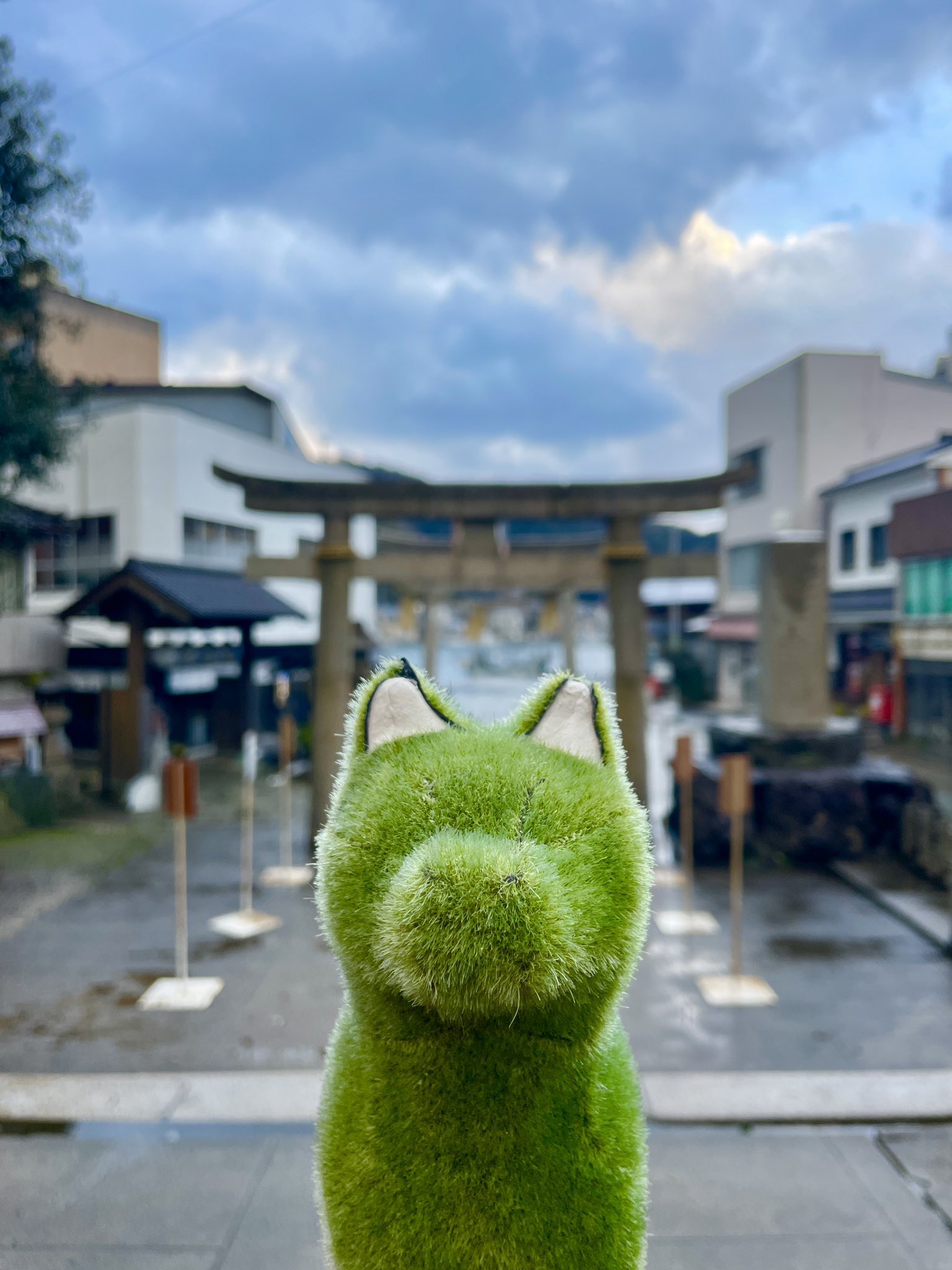 トマシバ 島根美保町 海と音楽にゆかりが深いえびす様の総本宮 美保神社 の詳細はこちら T Co Dinbvv3jy2 美保湾と鳥居をバックにぱしゃりだわん 芝犬旅行記 T Co 3umwaehey4 Twitter