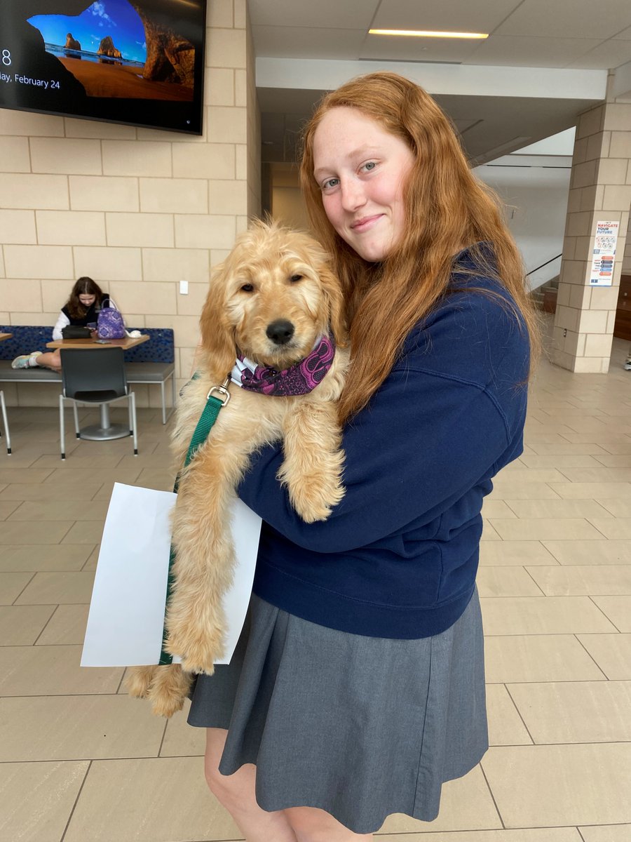 SMACatholic's tweet photo. LIVE AUCTION PREVIEW - PUPPY LOVE!
Leave a paw print on your heart and bid on your choice of a standard poodle, goldendoodle or golden retriever pup from an upcoming litter at Farmstead 51, a premiere Midwest breeder!
Courtesy of Farmstead 51
#BidHigh #GuardianBash https://t.co/JemnOFrPYw
