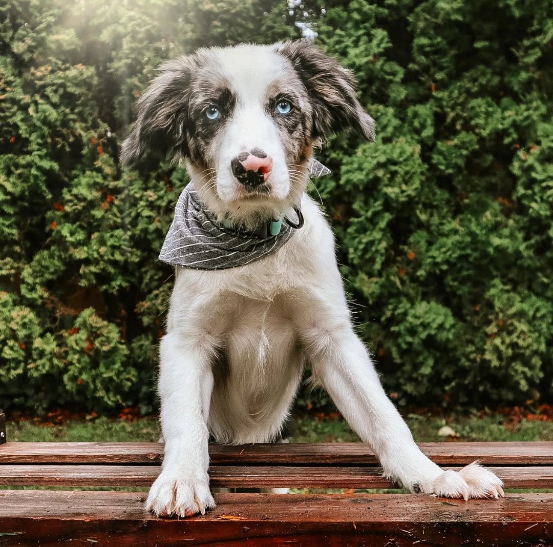 j a c k + k é d a ↟ tweet media