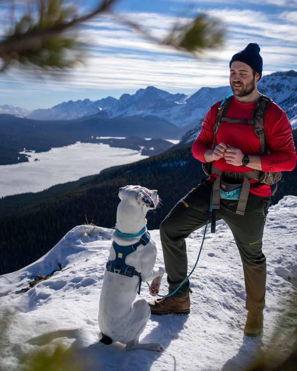 Hi #twitterdogcommunity 👋🏼👋🏼 Please be nicer to us than instagram. 

I’m Victoria and the little guy (big personality) is Donny. The lovable pitbull is Petey. The other dude is Josh, you can call him dog dad 👨‍👩‍👦‍👦 #DogsofTwittter #dogsofinstagram