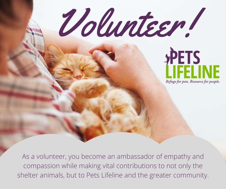 PetsLifeline's tweet photo. Our next volunteer orientation is March 19th!
Without our volunteers we could not do what we do.
If you are an animal lover and want to make a difference, Pets Lifeline has an array of rewarding volunteer opportunities:
https://t.co/rpQRR9ol5R https://t.co/Nl2kLQldZn