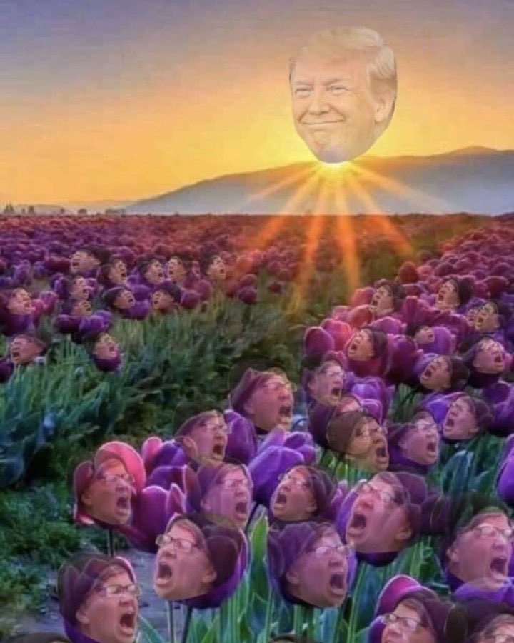 hodlmod's tweet photo. @OldNewDad Glorious #TDS for life. Enjoy your eternal suffering. https://t.co/KEl7jNbYP0