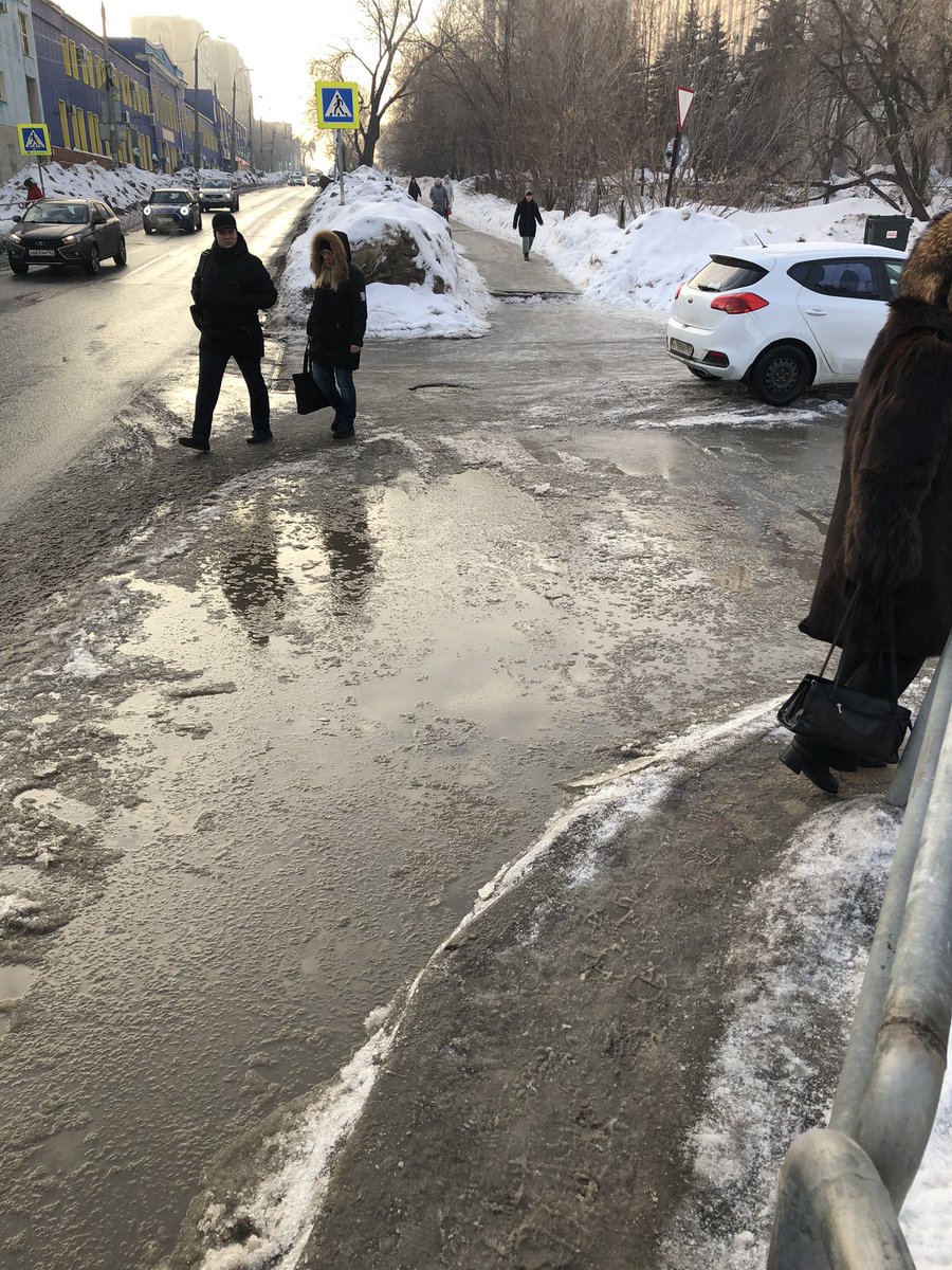 Евгения tweet media