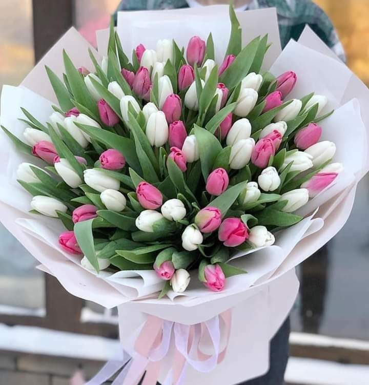 monagad6's tweet photo. جمعة طيبة مباركة https://t.co/MHojoMZor8