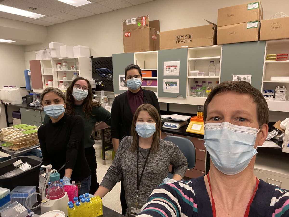 HedwichF's tweet photo. Big experiment today, so we got the dreamteam together! #Kuiperslab #WomenInScience @rahileftekhari @1formidablelady @izen33 https://t.co/1jVkArRGs6