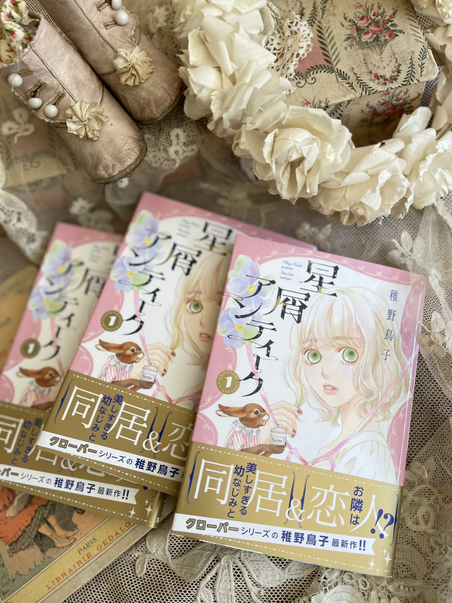 稚野鳥子 ワンズの呟きが多い漫画家 星屑アンティーク 1巻発売中 どりしろ日記 Torikochiya Twitter