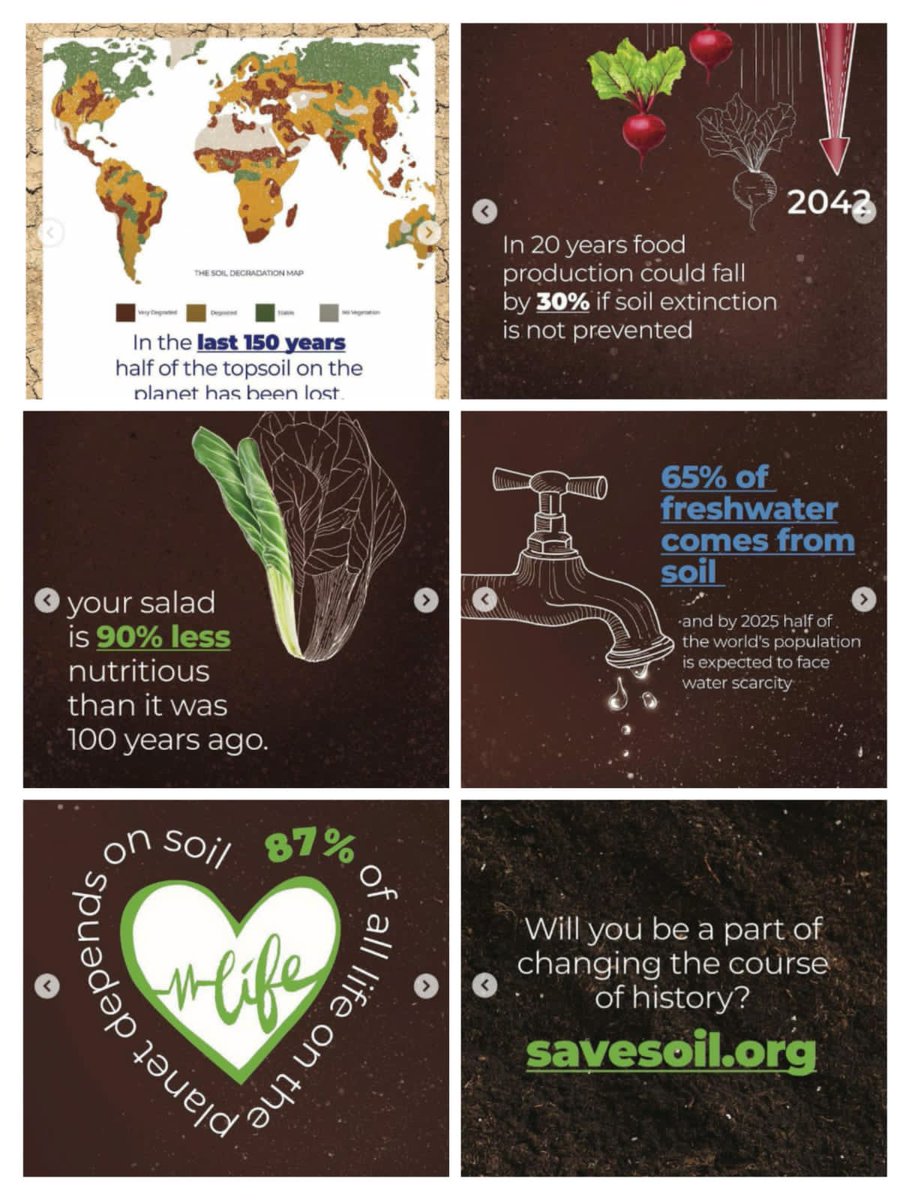 tulikaverma1's tweet photo. #savesoil #consciousplanet
The #savesoil movement is an effort to save our planet's soil extinction.This is a global movement that @sadhguru is initiating to bring attention to this catastrophic issue that humanity is facing and calling for policy change towards corrective action https://t.co/9NvCPIZlwp