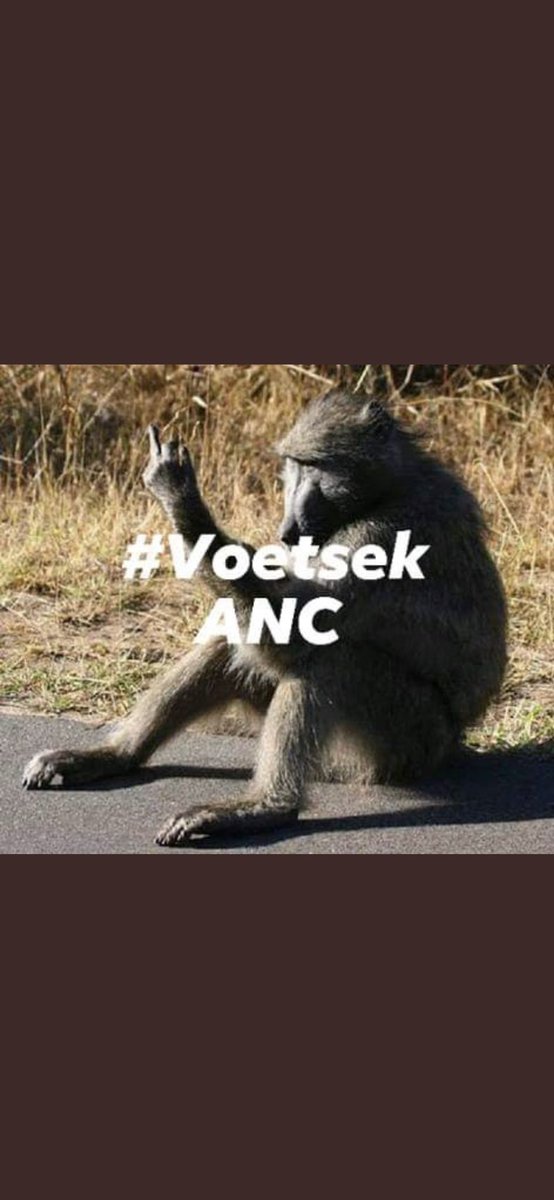 PSAFPATRIOT's tweet photo. On behalf of all unemployed SAn youth, undeveloped townships, Poor citizens and Homeless people..
 #VoetsekANC https://t.co/wRZf0bavw6