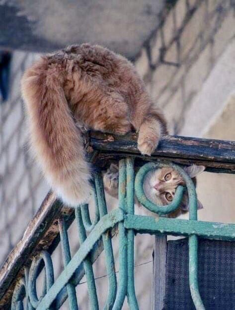 Доброе утро!