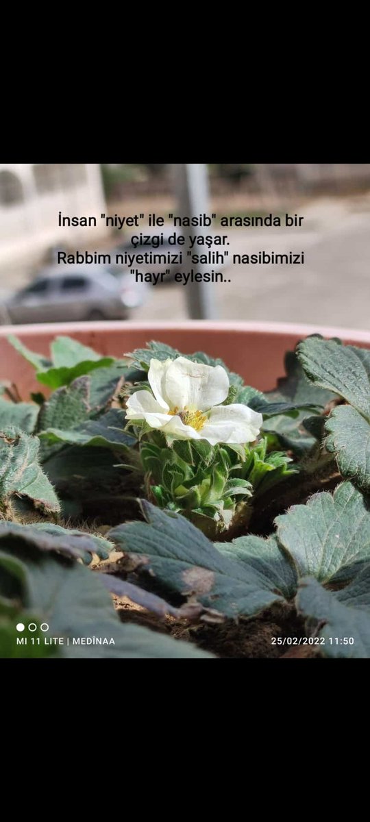 waaweyle's tweet photo. #HayırlıCumalar 🌹 https://t.co/chfhlHEdj9