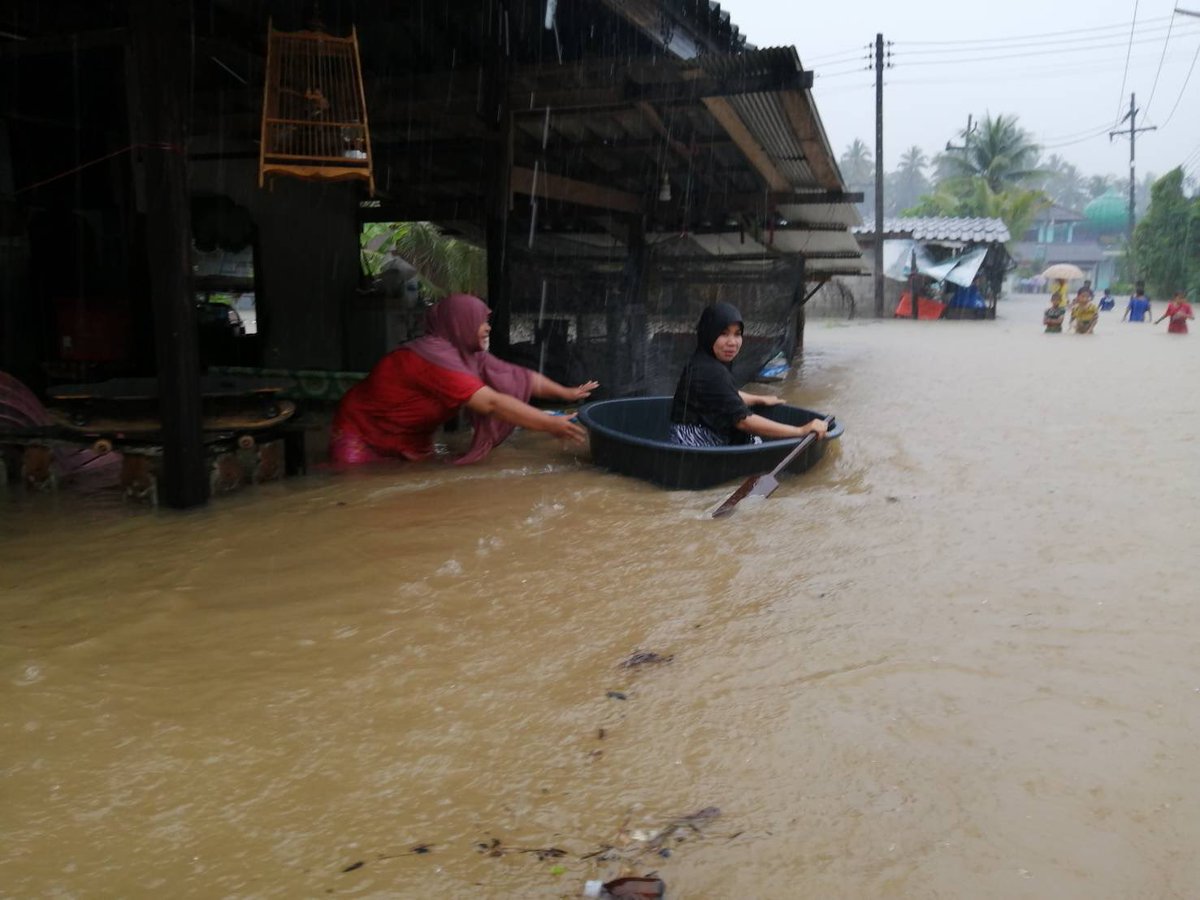 TichilaThaipbs's tweet photo. ฝนตกหนักลงมาอย่างต่อเนื่องตั้งแต่เมื่อคืนจนถึงวันนี้ ทำให้พื้นที ม.7 บ.สือแด ม.5 บ.ลาโละ ต.สากอ อ.สุไหงปาดี จ.นราธิวาส ซึ่งเป็นพื้นที่ต่ำเชิงเขา และติดริมคลองเกิดน้ำป่าไหลเข้าท่วมฉับพลันไหล ขณะที่หลายพื้นที���ของจ.นราธิวาสเริ่มมีน้ำไหลเอ่อเข้าท่วม @ThaiPBS @ThaiPBSNews https://t.co/6HFbLkVucd