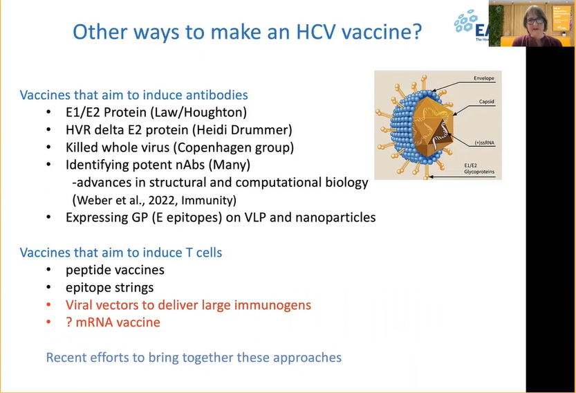 EASLedu's tweet photo. Is a #HCV vaccine still needed? 🤔
Eleanor Barnes says, YES!

Why is progress slow? 
Summary slides below⏬

#EASLspecial #ViralHepatitis #HBV 
@EASLnews @aelsharkawy75 @EuropeLiver https://t.co/5lRLUIQFGm