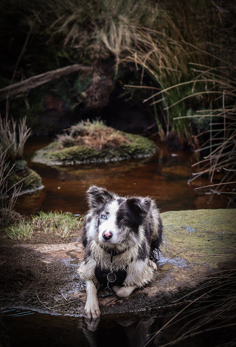 Good Morning Everyone! 🐾💙

We hope you're all happy and excited for the weekend! 🤟