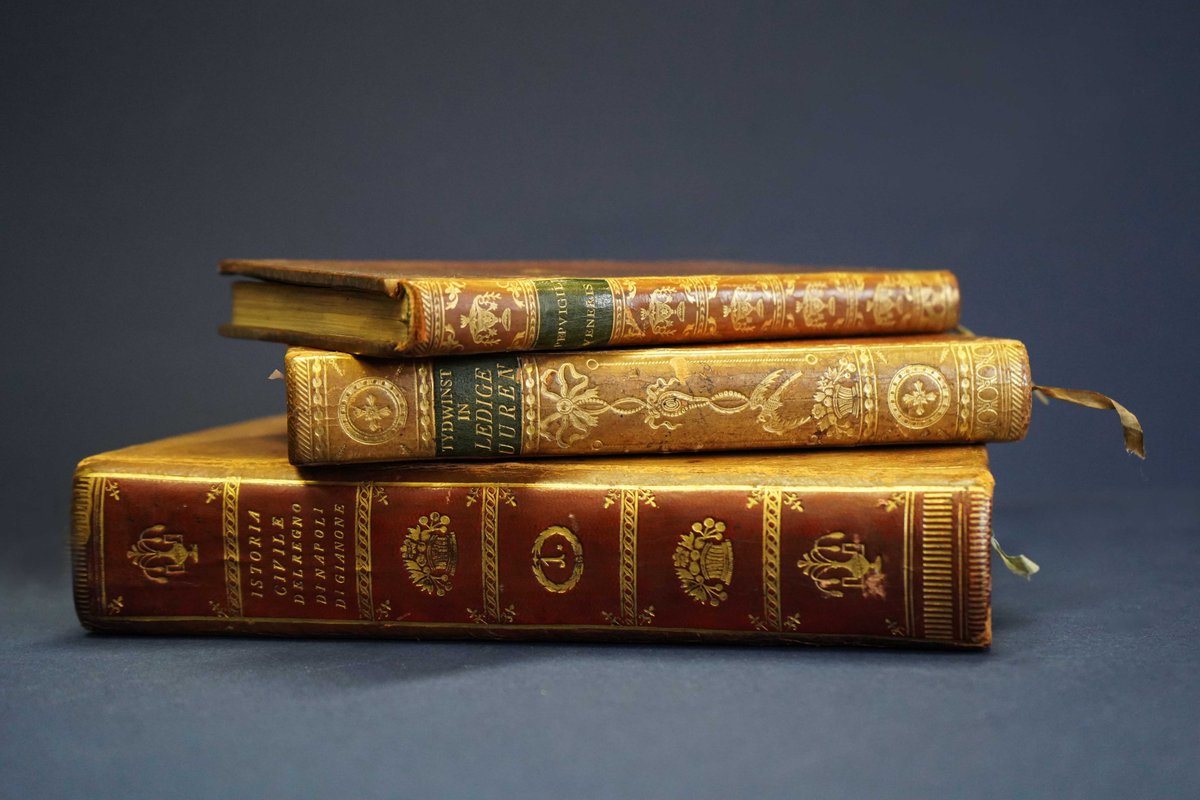 Книги из личных коллекций Александра I, Николая II, Д. Дидро, П.К. Сухтелена, из собраний знаменитых русских библиофилов А.Ф. Бычкова и Л.И. Жевержеева с 1 марта на выставке «Вторая жизнь: сохранение и реставрация семейных реликвий»:
nlr.ru/nlr_visit/RA53…