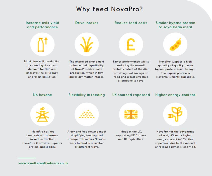 There are SO many reasons to feed NovaPro.
Here's just a few! 👇

Find out more: bit.ly/KWFeedsNovaPro

#KWFeeds #NovaPro #TeamDairy