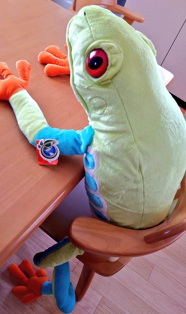 ダー子のお部屋にあるものが欲し過ぎて🐸大嫌いなのに買ってもらいまし