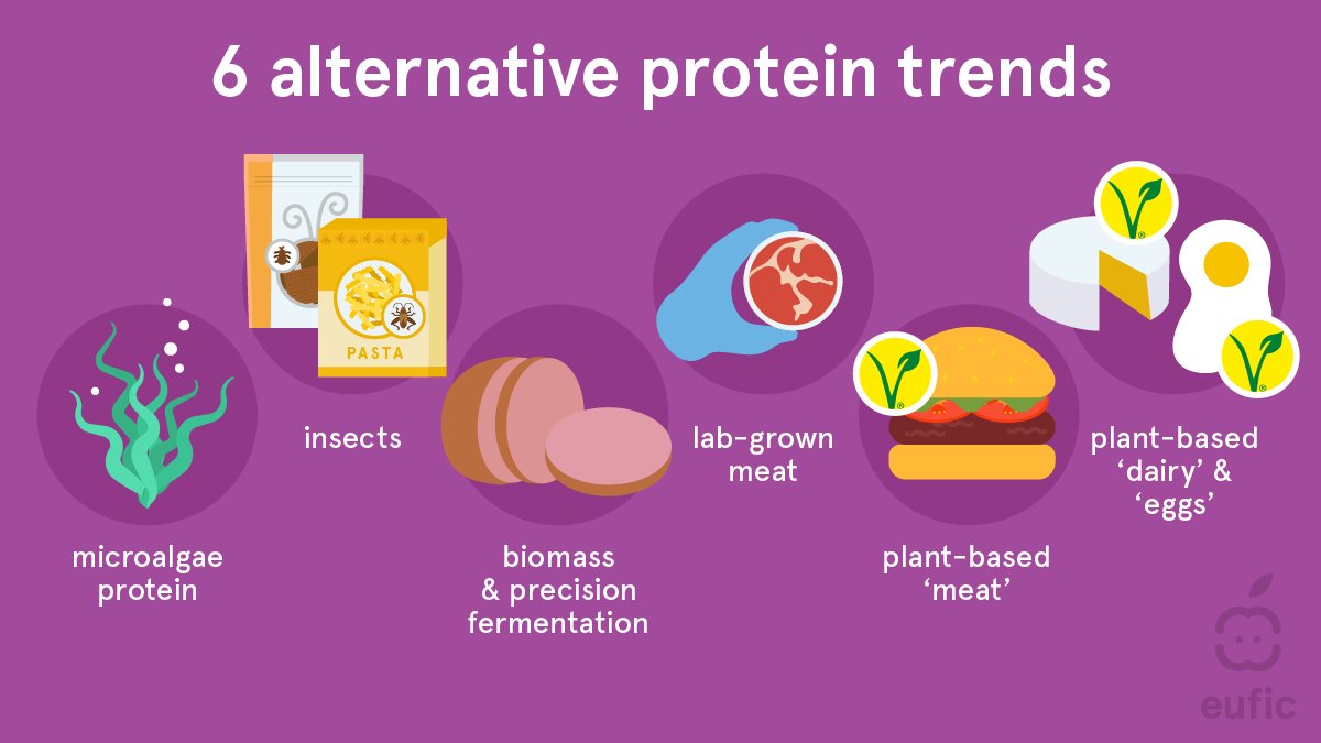 With protein demand expected to rise in the coming years, the world is turning to more sustainable & innovative alternatives to meet consumers’ needs. 📈🔬 

Are you familiar with the rising trends on #proteinalternatives and would you like to try them? 🤔