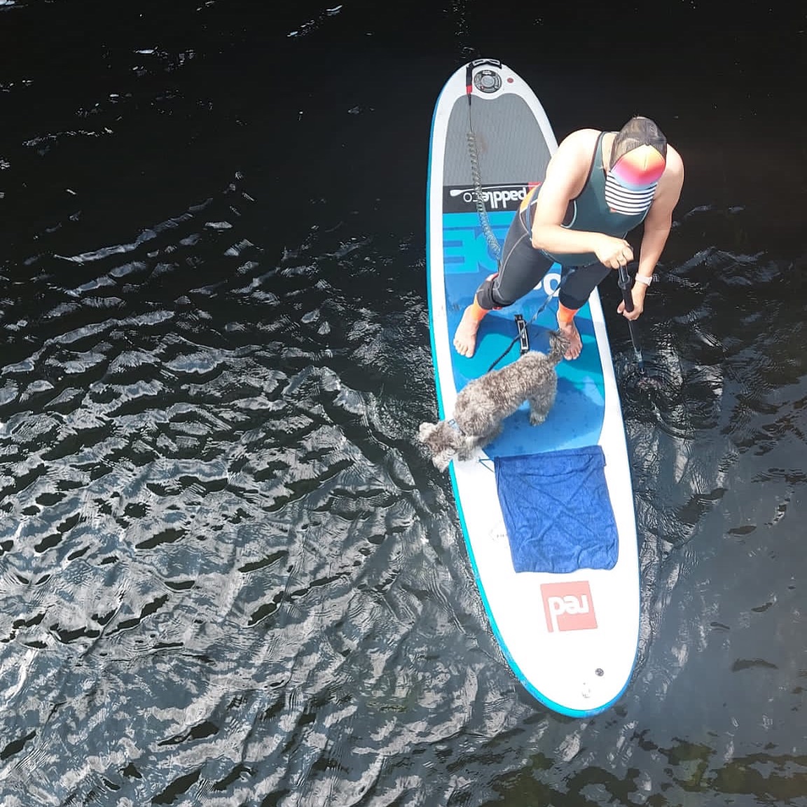 rocket_mini's tweet photo. Hurry up warmer weather - mum wants to get out on the SUP again. I’m not too sure 😂

#supdog #sup #twitterdogcommunity https://t.co/nJcyloptN6