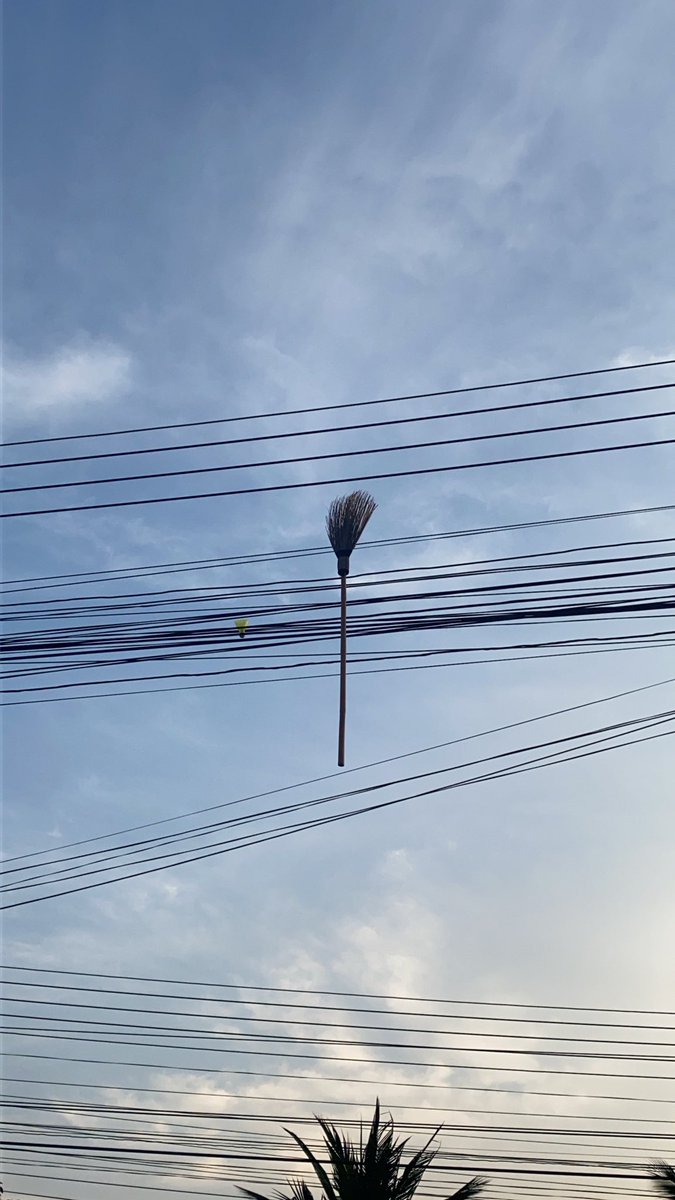 แฮรี่ ไม้กวาดนายทำไมอยู่บนนั้น