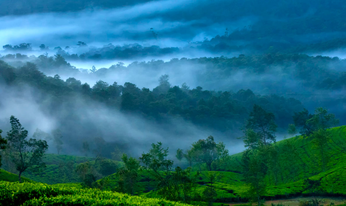 nature_wings's tweet photo. Grab The Best 2022 Season Offer on Kolkata to Sri Lanka Package Tour From NatureWings.🏝🏝

Kolkata to Sri Lanka Package Tour: The Glorious Land of Ravana by @nature_wings https://t.co/s3PVh2zTtp 

#SriLanka #Tour #vacations #holidays #naturelovers #NaturePhotography https://t.co/0q3Sg73CJG
