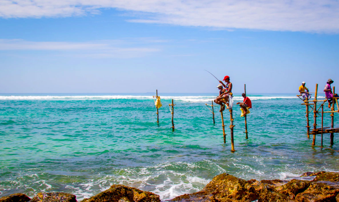 nature_wings's tweet photo. Grab The Best 2022 Season Offer on Kolkata to Sri Lanka Package Tour From NatureWings.🏝🏝

Kolkata to Sri Lanka Package Tour: The Glorious Land of Ravana by @nature_wings https://t.co/s3PVh2zTtp 

#SriLanka #Tour #vacations #holidays #naturelovers #NaturePhotography https://t.co/0q3Sg73CJG