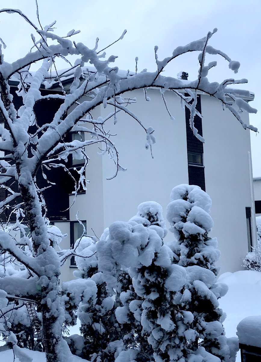 GunRoswall's tweet photo. #postblizzard https://t.co/Xd1qzdTSLG