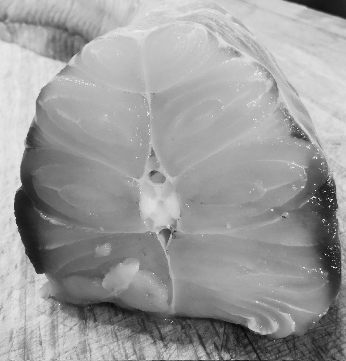 Wilder Nailsworth tweet media