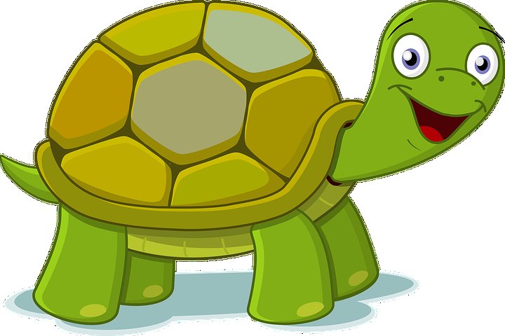 BhavinKariya12's tweet photo. @oneplus I am really amazed how you guys are working in Android OS 12 upgrade on One plus 8 devices, Slow as tortoise. https://t.co/Q52VitSmQE