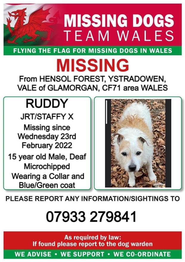 KarenFi51820768's tweet photo. #CodeRed #FindRudy ❗️RUDDY, MISSING FROM #HENSOLFOREST, YSTRADOWEN, VALE of #GLAMORGAN, CF71 area WALES.
❗️MISSING SINCE WEDNESDAY 23rd FEBRUARY 2022.
❗️❗️RUDDY IS DEAF AND UNWELL, PLEASE CALL NUMBER WITH ANY SIGHTINGS/INFORMATION. https://t.co/WepOx6VeWH #RT https://t.co/WxnJiztelo