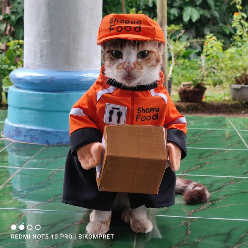 ZOO_FESS's tweet photo. PEWMISI PAWKETT COPII 😼

Zoo https://t.co/30klbtRgQt