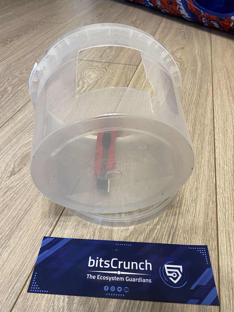 nft_pass's tweet photo. Bird feeder made from an old bucket
@bitsCrunch #NFTPolice #Crunchers https://t.co/VmY3EkA7ze