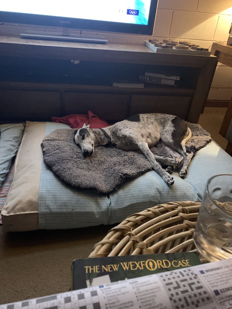 PerspicuousNews's tweet photo. Hibernating on a torrential Friday evening. A #crossword, some #reading, a drink, a sleeping #whippet & a bit of TV. Rain & flooding forecast for at least a week. Time to break out the #puzzles, #library & dance music
#forcedrelaxation #ActiveHealthMatters #PerspicuousHealth https://t.co/TnjBp5e2Fb