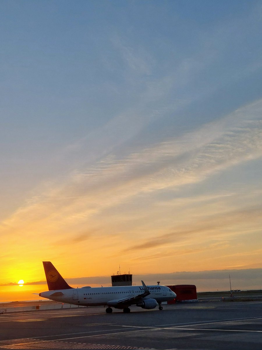 06ril's tweet image. Bonjour #LFMN ...