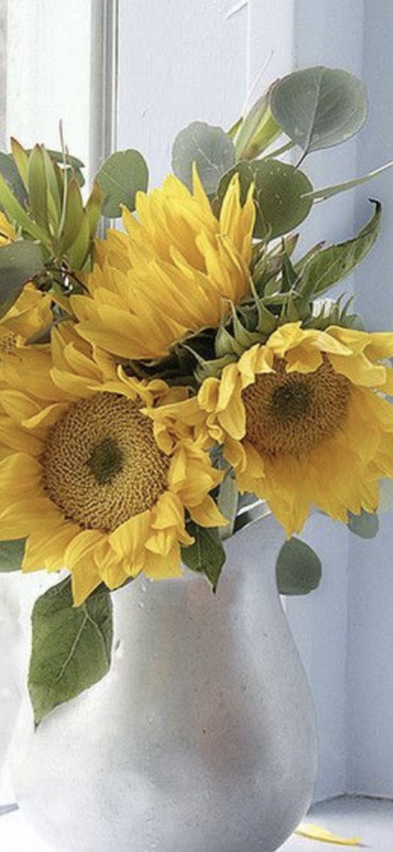 Js_Slippers's tweet image. 🇺🇦