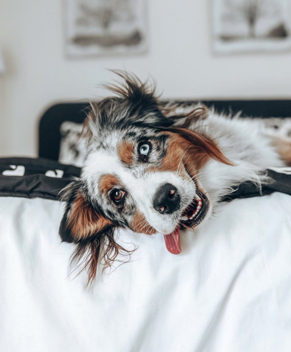 Sedona + Jess tweet media