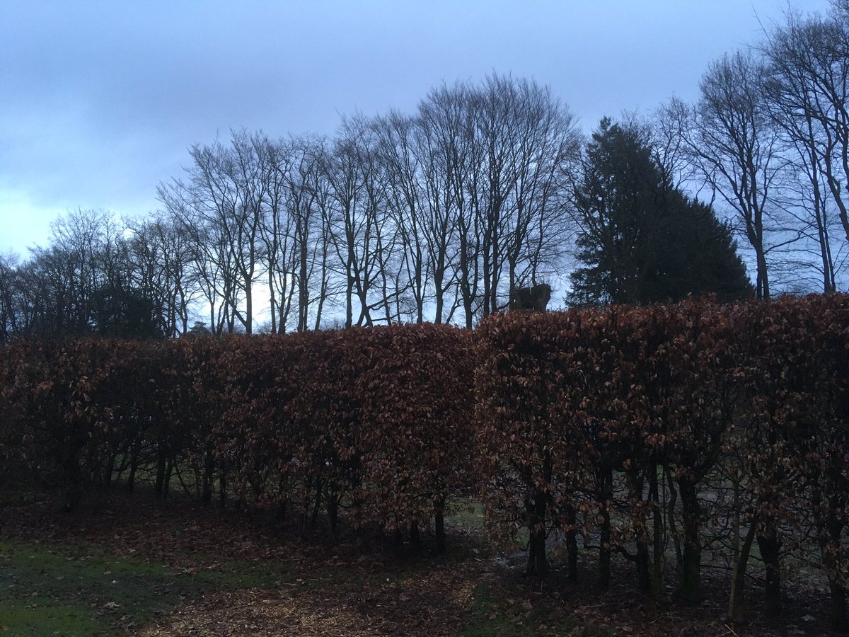 warnerbs's tweet photo. Vrijdag 25 februari, 07.31 u #zonsopkomst #hattem #leemkule https://t.co/nSS8GhY7oF