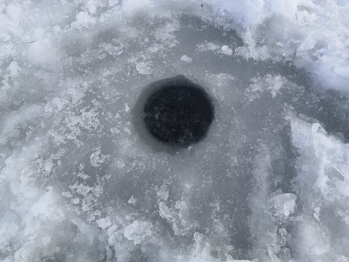 ЧП в Ефремовском районе: найдено тело второго рыбака
newstula.ru/fn_869252.html 

Двое мужчин рыбачили на реке Красивая Меча и, по предварительной информации, провалились под лед...