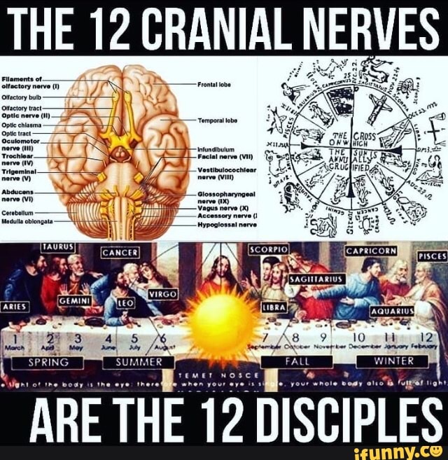 Hidden AmuraKa tweet media