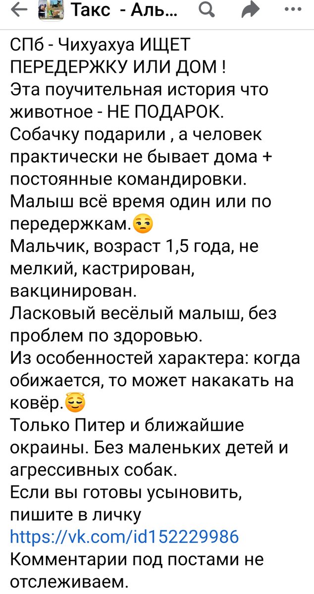 Мила Пим tweet media