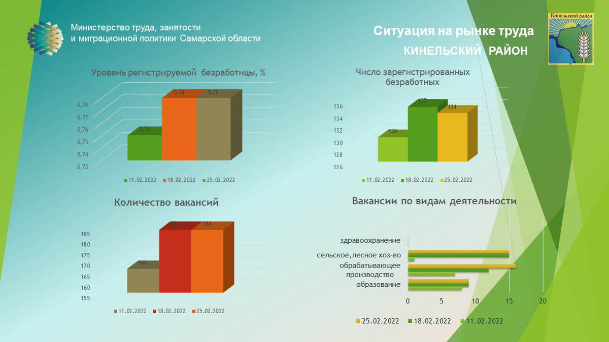Ситуация на рынке труда м.р. Кинельский