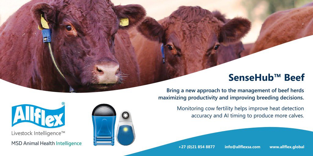 Allflex Livestock Intelligence Sub-Saharan Africa tweet media