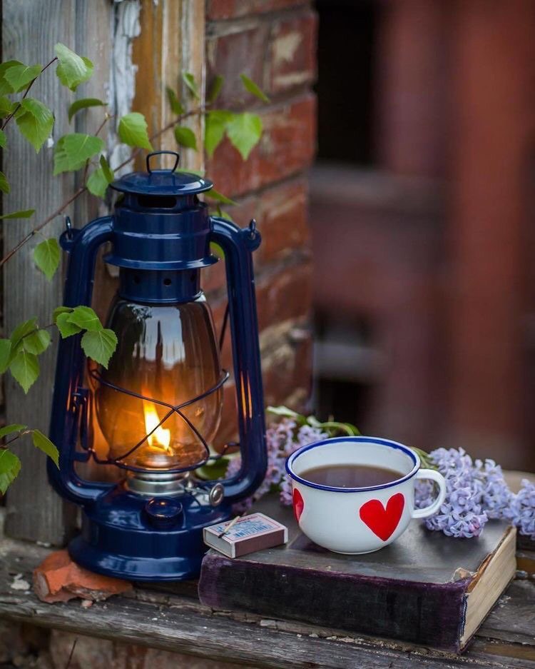 cari_panizza's tweet photo. “¡Todos los tiempos son hermosos para aquellos que aprovechan la felicidad que hay en ellos!”
¡Buenos días! ☕
#buenosdías☕ #piensoque
#felicidad
#fotoslindas https://t.co/hYa50wuXir