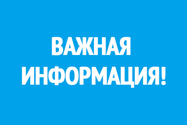 Жители района могут обратиться с заявлением на отлов безнадзорных животных kuibyshev.nso.ru/news/6222