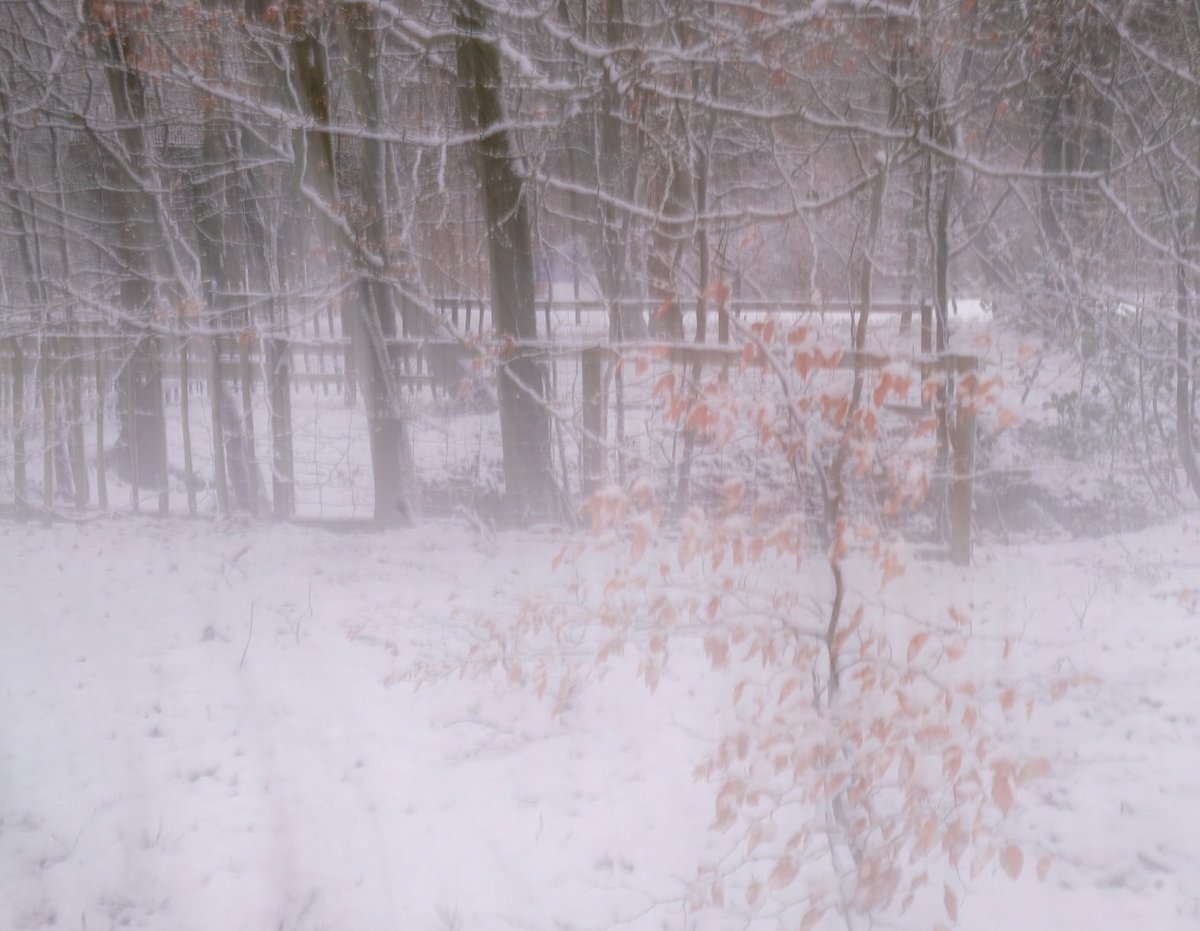 GM folks. Took this photo on my way to work yesterday. Happy Friday ❤️❄️ #snow #visitwestlothian #lovesnow